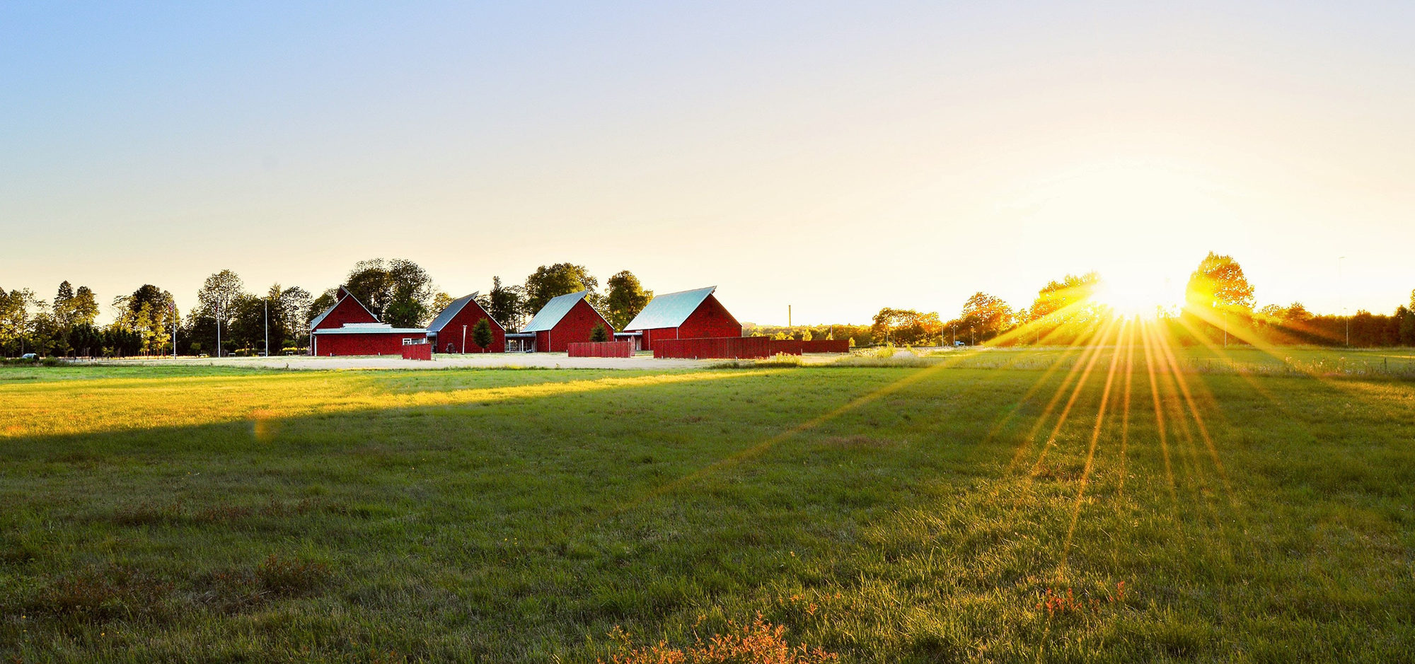 Agritourism